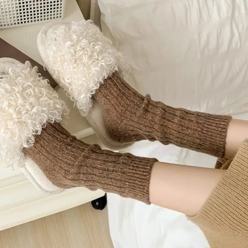 1/2Pairs Korean Winter Thickened Wool Socks Women's Breathable Comfortable Plush Low Tube Snow Socks Simple Warm Cashmere Socks